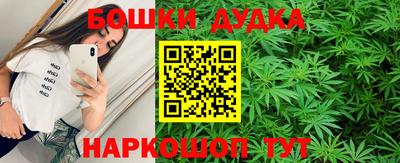 СК Дубна