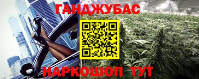 СК Дубна