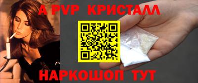 стафф Донской