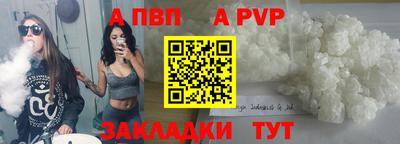 стафф Донской