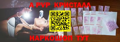 стафф Донской