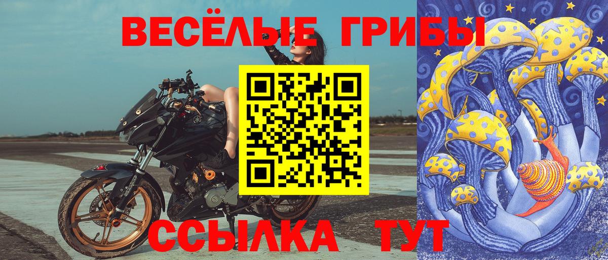 Галлюциногенные грибы Psilocybine cubensis  Вход с VPN  Мытищи 