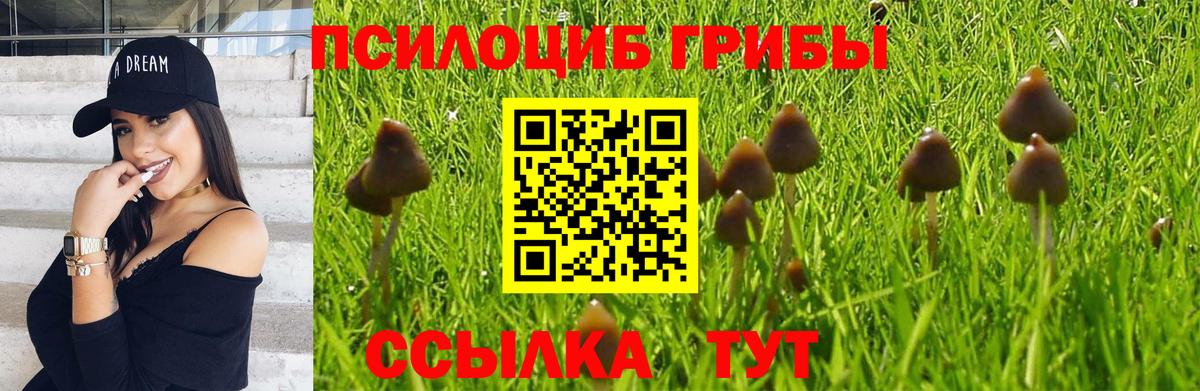 Псилоцибиновые грибы ЛСД Мытищи